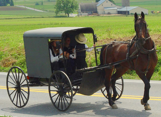 Eine Kutsche der Amischen. Bild aus Wikimedia Commons
